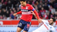 Illustration : "LOSC : Une mauvaise nouvelle pour un Dogue "