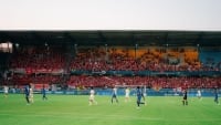 Illustration : "LOSC : Un échec majeur cette saison malgré la qualification !"