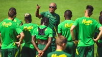 Illustration : "FC Nantes : Une perte financière importante pour le club !"