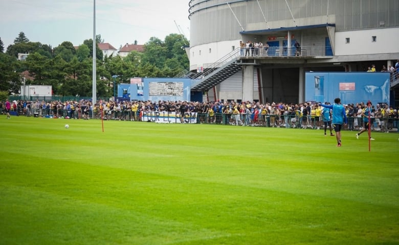 Illustration : "Sochaux : Quel avenir pour le club ?"