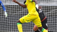 Illustration : "FC Nantes : Un motif d'inquiétude pour la saison à venir"