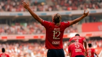 Illustration : "LOSC : Une menace plane sur les Dogues avant Ljubljana "