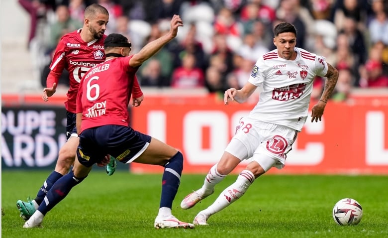 Illustration : "LOSC : Un Dogue crève l’écran contre Brest !"