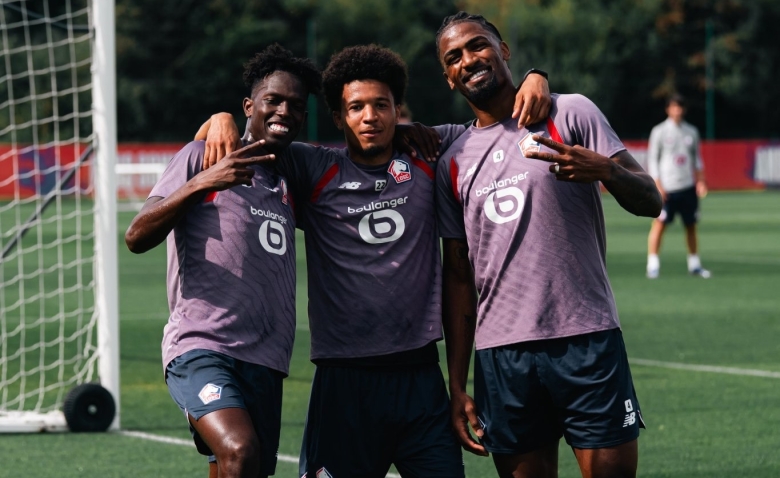 Illustration : "LOSC : Une alerte physique assombrit la soirée des Dogues "