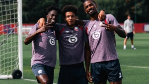 Illustration : LOSC : Une alerte physique assombrit la soirée des Dogues 