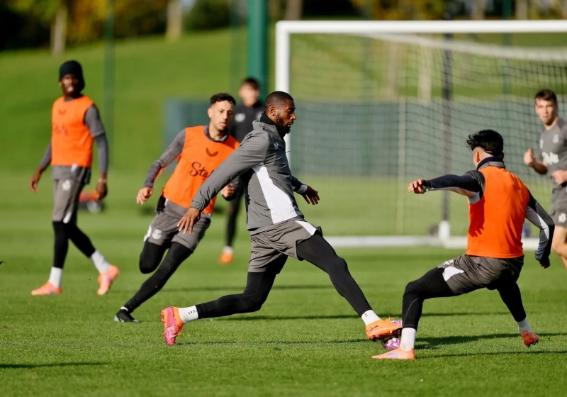 Illustration : Pronostic Sunderland-Everton (10 ème journée de Premier League)